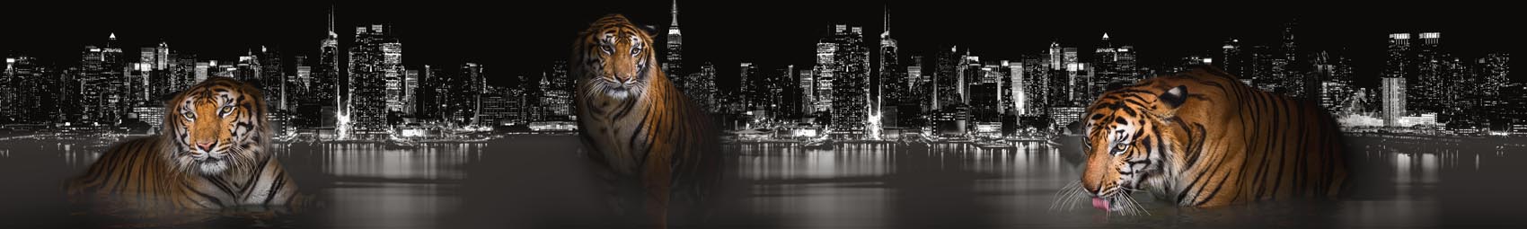 Тигры и ночной город