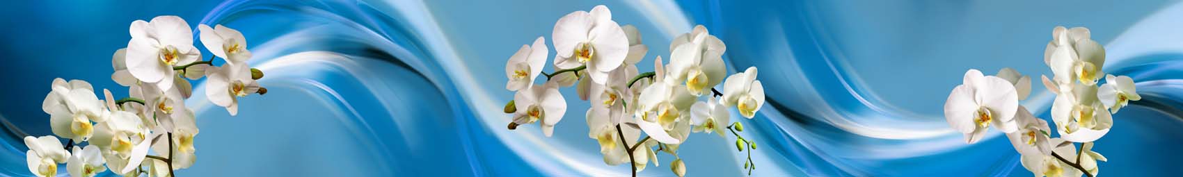 Белые орхидеи и синяя волна скинали